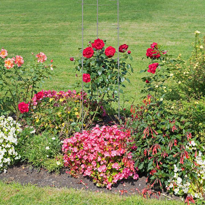 Immagine prodotto Relaxdays Aiuto per l'arrampicata (30 cm, 30 cm)