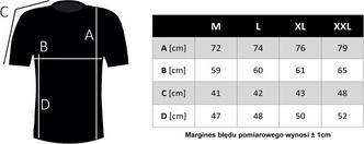 Actual product image Guess Herren T-Shirt Logo Tee Schwarz (XL)