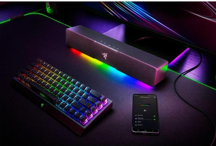 Productafbeelding Razer Leviathan V2 X (Stereo)