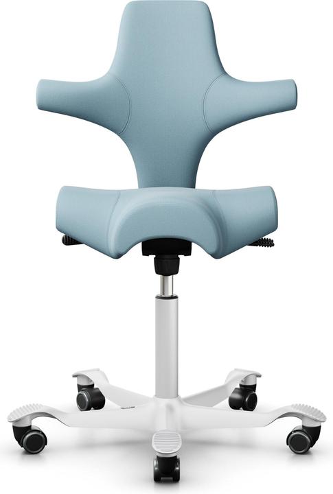 HAG Capisco 8106