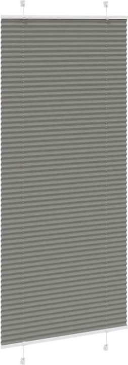 Produktbild vidaXL Plissee (100 x 200 cm)