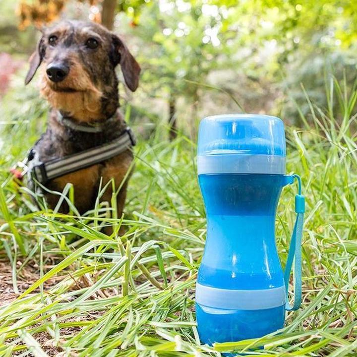 Actual product image InnovaGoods Portable water bottle and food bowl for dogs (0.30 l)