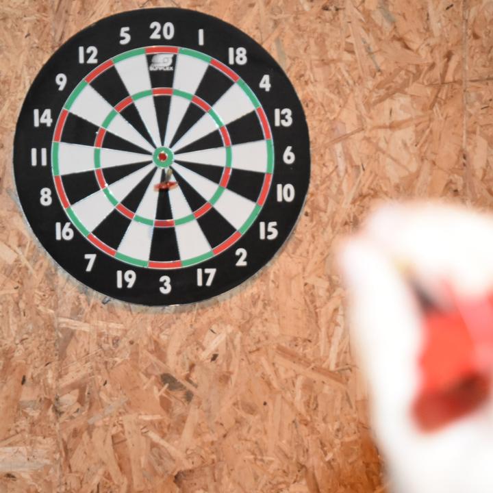 Produktbild Sunflex Dartscheibe Deluxe