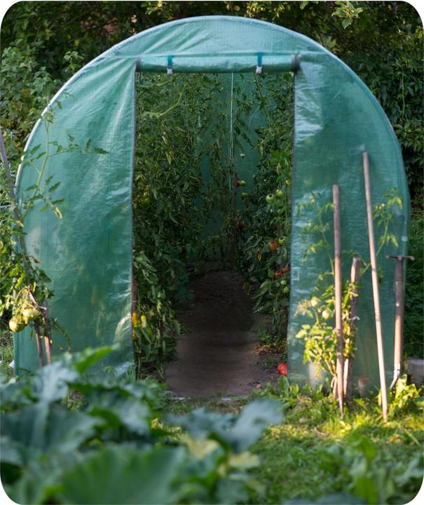 Immagine prodotto Plonos Serra da giardino in vetro