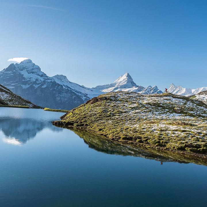 Produktbild Flyer Uproc1 (51 cm)