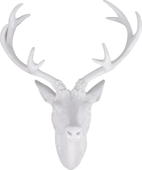 Inda-Exclusiv XXL Hirschgeweih Hirschkopf Geweih 10-Ender Weiss 48x32x61cm