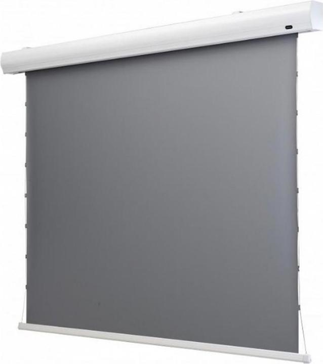Celexon Tension-Leinwand HomeCinema Dynamic Slate ALR 221x124cm 16:9 (100", 16:9)