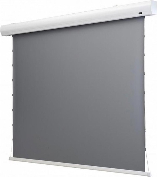 Celexon Tension-Leinwand HomeCinema Dynamic Slate ALR 221x124cm 16:9 (100", 16:9)