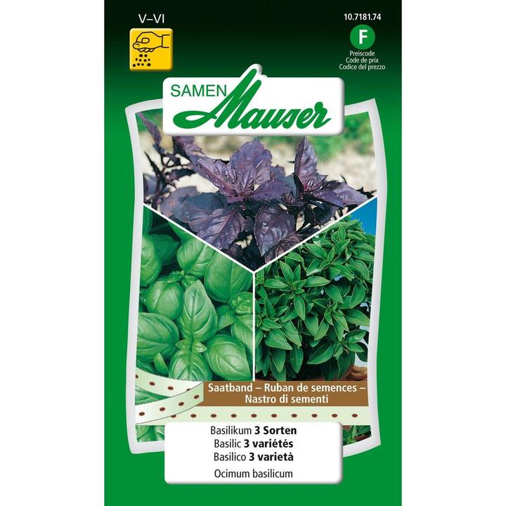 Produktbild Samen Mauser Basilikum 3 Sorten (Kräutersamen)