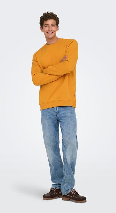 Produktbild Only & Sons Onsconnor Reg Crew Neck Sweat Noos (L)