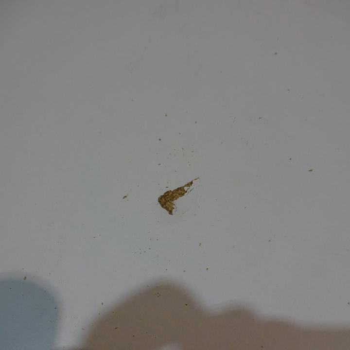 Produktbild kaiserkraft Ruheraumliege (Erste Hilfe Set Zubehör)