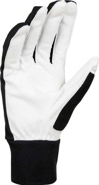 Immagine prodotto Daehlie M Glove Race Warm (6)