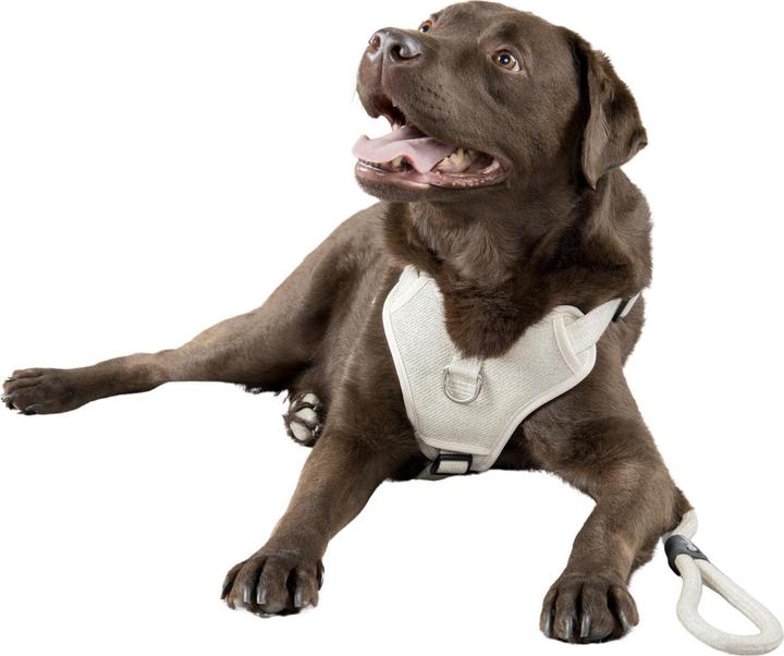 Produktbild Flamingo H Lago (XL, Hund, Allgemein, Spazieren)