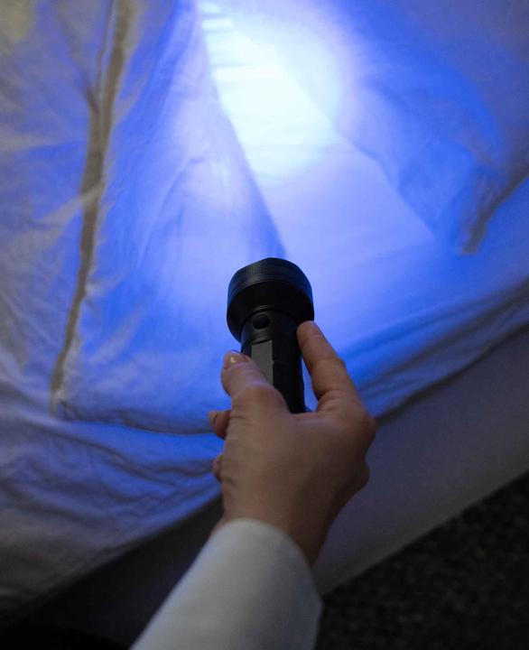 Immagine prodotto Werkstein Schwarzlicht-Taschenlampe (14.50 cm)