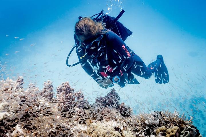 Immagine prodotto Suunto ZOOP Novo Blu