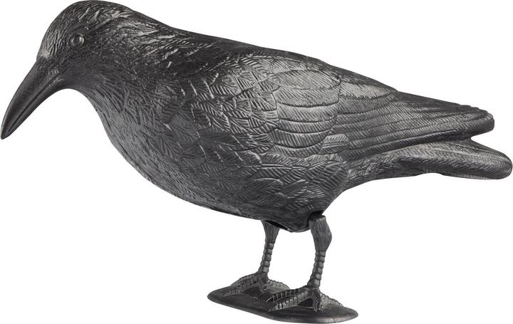 Immagine prodotto Windhager Figura animale corvo 37cm, nero