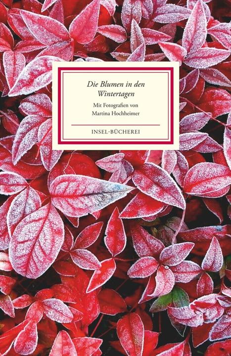 Produktbild Die Blumen in den Wintertagen (Deutsch, Martina Hochheimer, 2014)