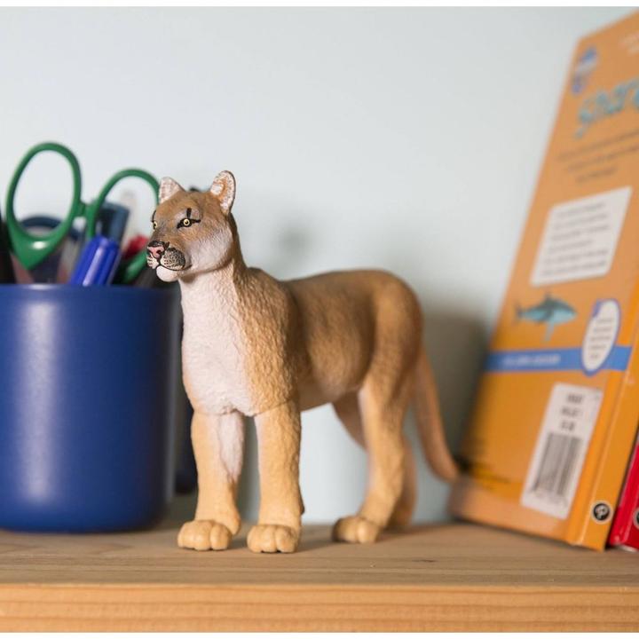 Produktbild Safari Florida-Puma