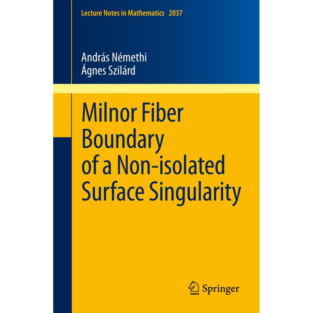 Milnor Fiber Boundary of a Non-isolated Surface Singularity, Fachbücher von András Némethi, Ágnes Szilárd