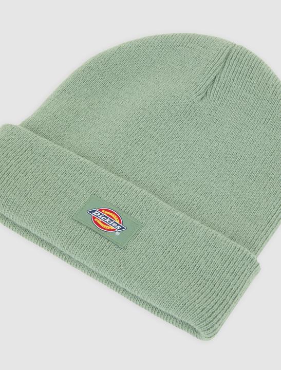 Actual product image Dickies Gibsland Beanie