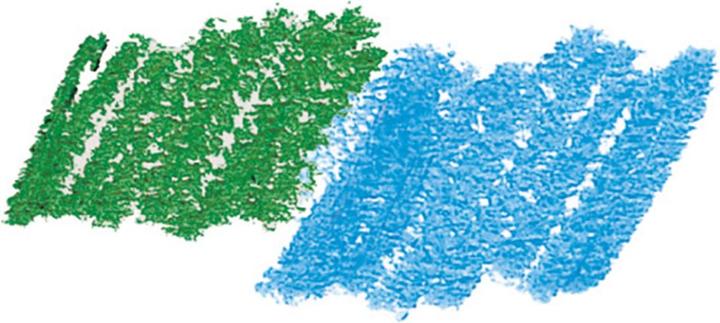 Produktbild Djeco Wachsmalkreiden Farben (Mehrfarbig, 8 x)