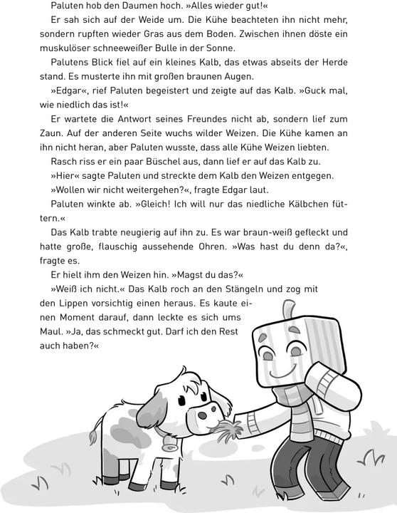 Actual product image Donnerwetter am Mount Schmeverest (German, Palutes, Klaas Core, 2021)