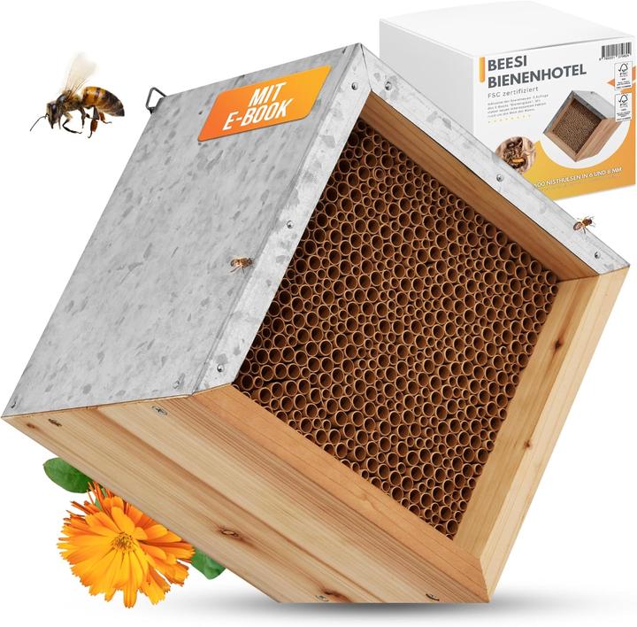 Beesi Bee hotel (Wild bees)