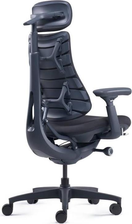 Actual product image LiberNovo Omni Dynamic (44 - 55 cm)