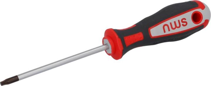 NWS Cacciavite Torx TX T20X100 (TX)