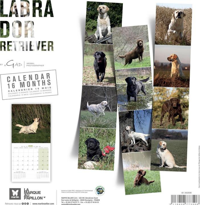 Produktbild Martin Sellier Labrador