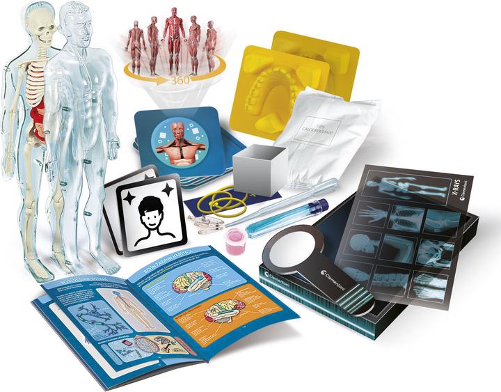 Produktbild Clementoni Science & Play - Super Anatomy (78826)