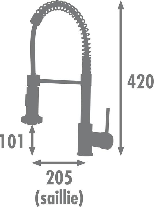 Actual product image Rousseau Kitchen Tap OPUS Chrome