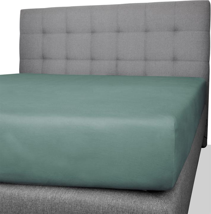 Actual product image Aspero Natal cotton fitted sheet - 8476 (140 x 200 x 25 cm)