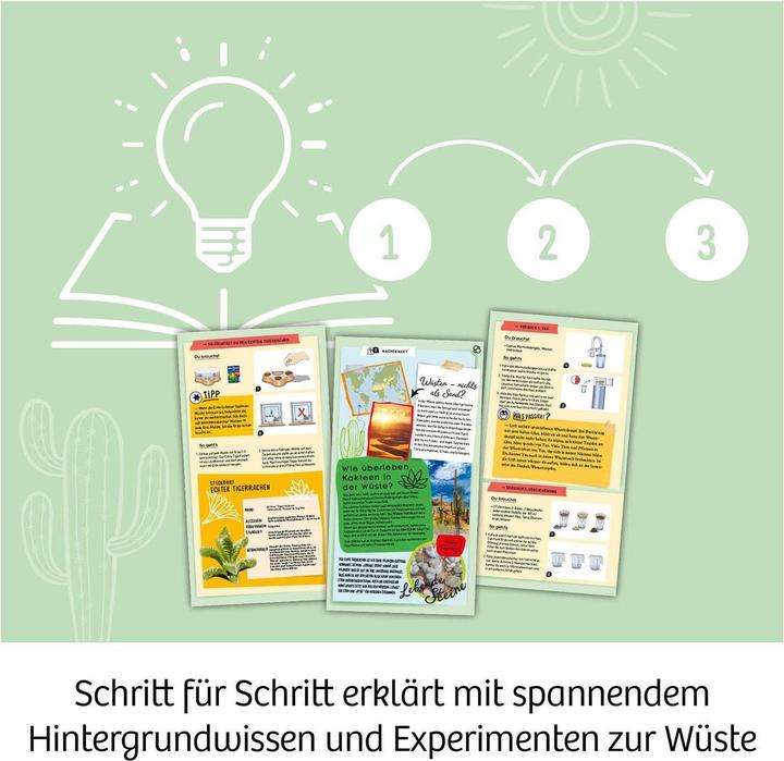 Actual product image Kosmos Cactus desert