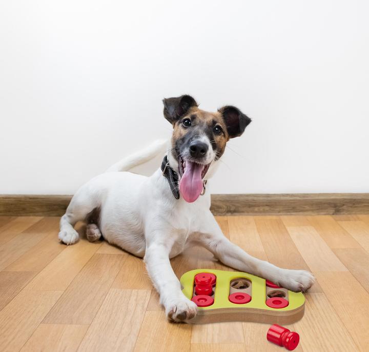 Image du produit Relaxdays Jouets intelligents pour chiens (Jouet intelligent chien)