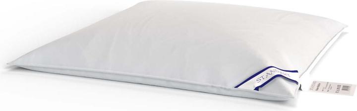 Immagine prodotto Capistrano Cuscino standard (65 x 65 cm)