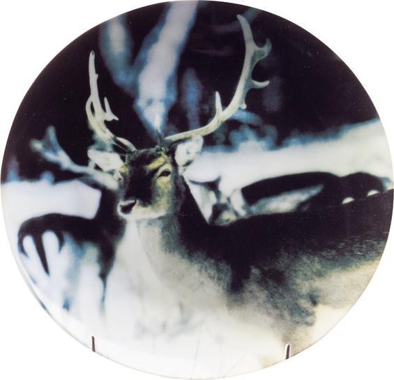 Produktbild Nouvel Waldtiere (24 cm)