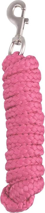 Rose flamand rose flamand