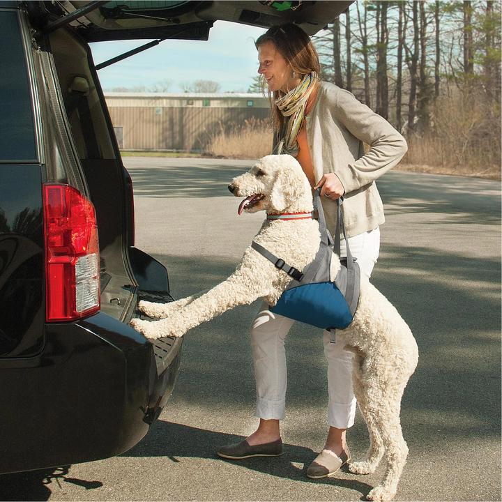 Actual product image Kurgo Up and About lifting harness (Dog)