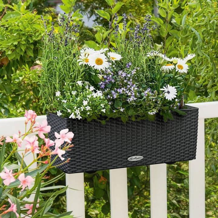 Actual product image Lechuza Balconera Cottage (19 cm)