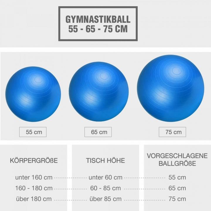 Produktbild Gorilla Sports Gymnastikball (75 cm)