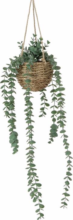 Boltze Home Topfpflanze (78 cm)