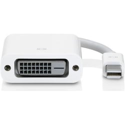 Apple Mini DisplayPort zu (DVI, 20 cm), Data + Video Adapter, Weiss