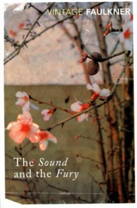 Produktbild The Sound and the Fury (Englisch, William Faulkner, 1995)