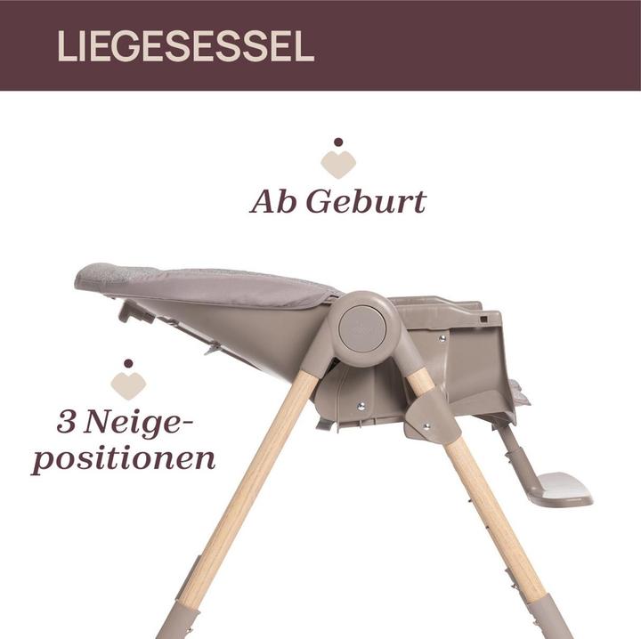 Immagine prodotto Chicco Polly Essential (Seggiolone)