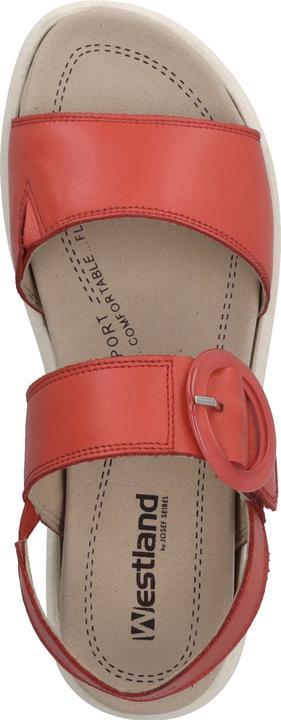 Actual product image Westland 25408-409 (42)