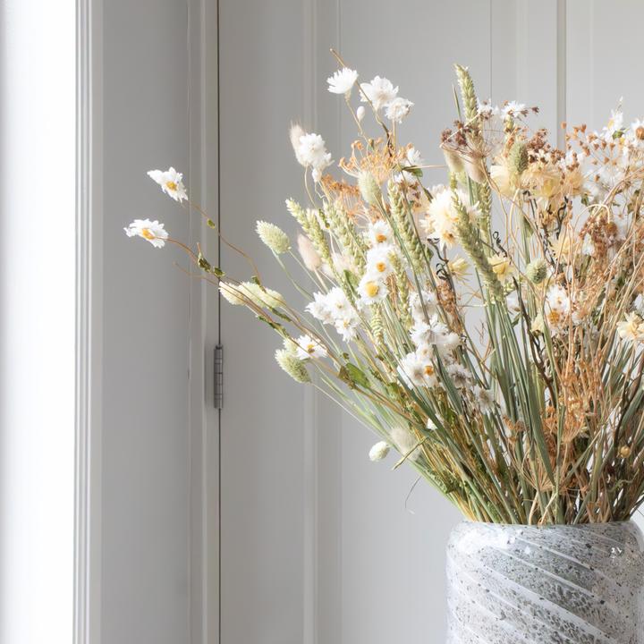 Immagine prodotto Plant in a Box Tarwe, Rhodanthe, Helichrysum, Lagarus, Bupleurum, Phalaris. (55 cm)