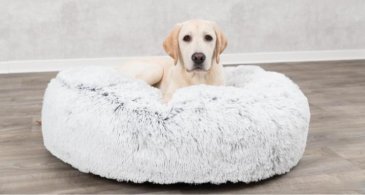 Immagine prodotto Trixie Harvey (Cane)