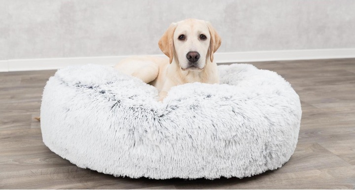 Image du produit Trixie Harvey (Chien)
