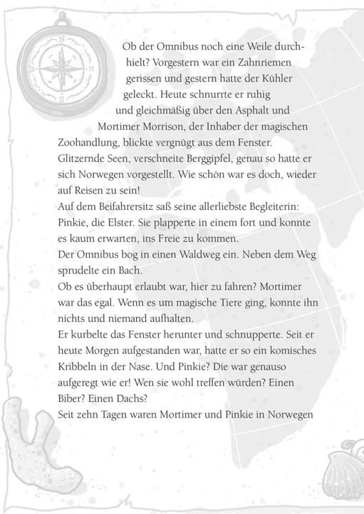 Productafbeelding Die Schule der magischen Tiere: Das Buch zum Film (Duits, Nina Dulleck, Margit Auer, 2021)